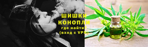 дмт Аркадак