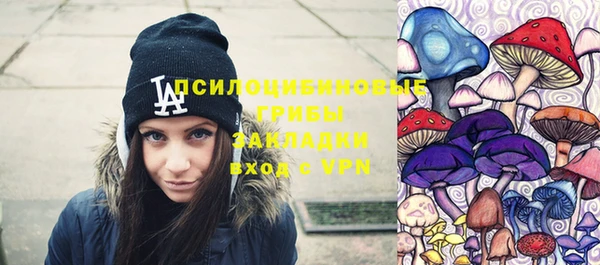 дмт Аркадак
