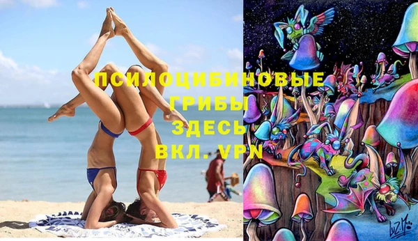 дмт Аркадак