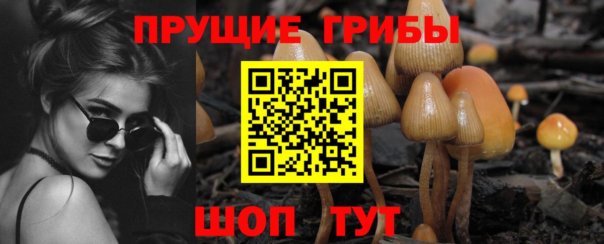 Псилоцибиновые грибы прущие грибы Саранск